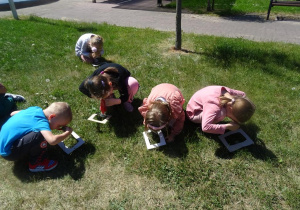 Dzieci oglądają przez lupę trawę na ogrodzie przedszkolnym.